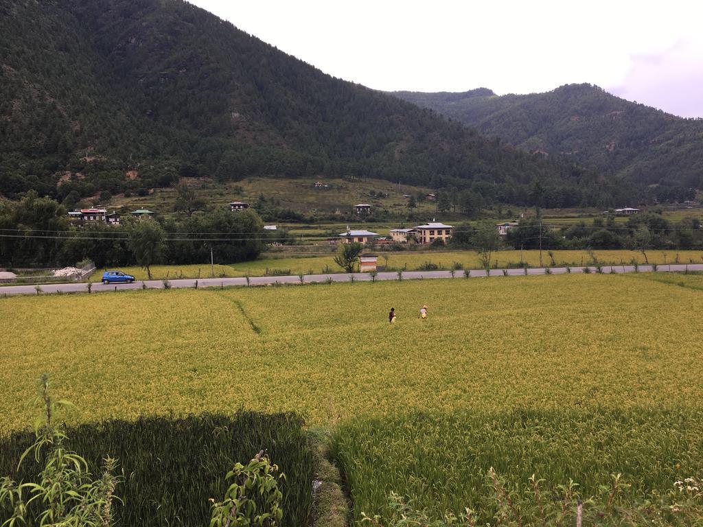 Ama'S Village Lodge Paro Exterior photo